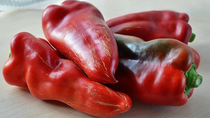 A selection of the best varieties of sweet peppers for outdoor use