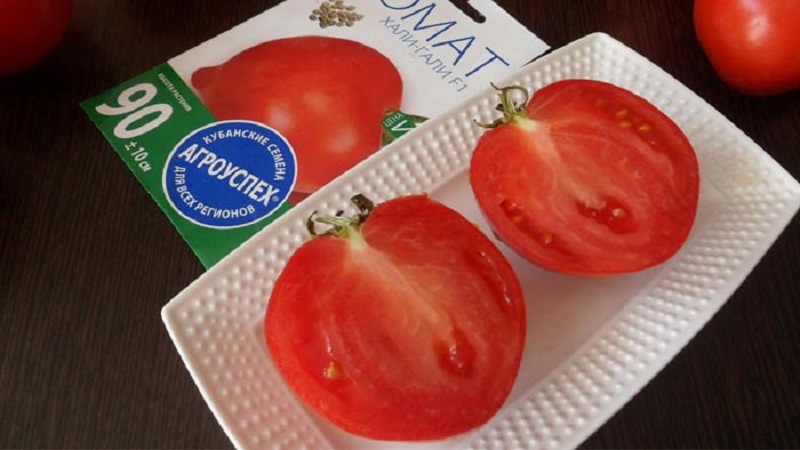 We get a record harvest with Hali Gali's tomato: life hacks of gardeners and basic rules for caring for a hybrid