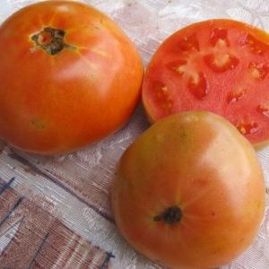 What can you remember about Masterpiece tomatoes and how to get a decent harvest