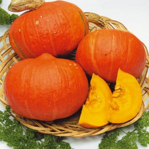 Is it true that pumpkin weakens: how to use a colon cleanser and what will be the effect?