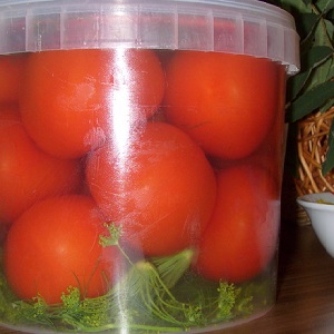 The most delicious and simple recipes for pickling tomatoes in a bucket: we make excellent preparations for the winter