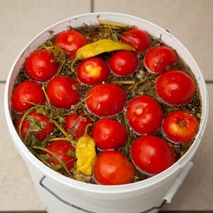 The most delicious and simple recipes for pickling tomatoes in a bucket: we make excellent preparations for the winter