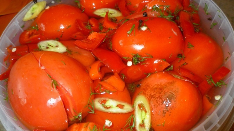 The most delicious and simple recipes for pickling tomatoes in a bucket: we make excellent preparations for the winter
