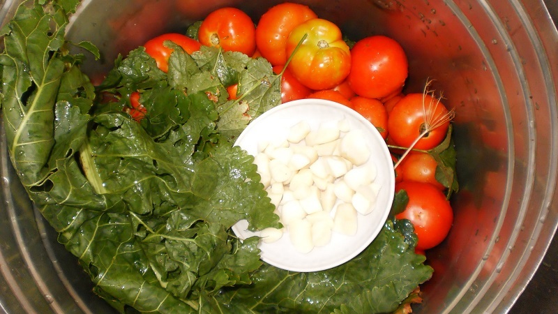 The most delicious and simple recipes for pickling tomatoes in a bucket: we make excellent preparations for the winter