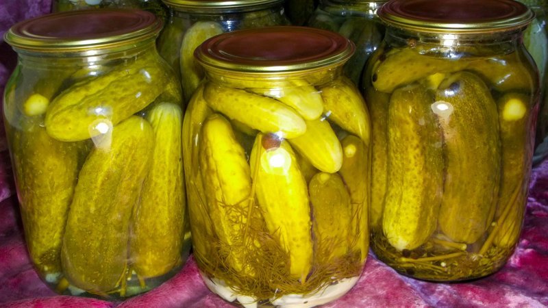 The most delicious recipes for cucumbers with citric acid for the winter