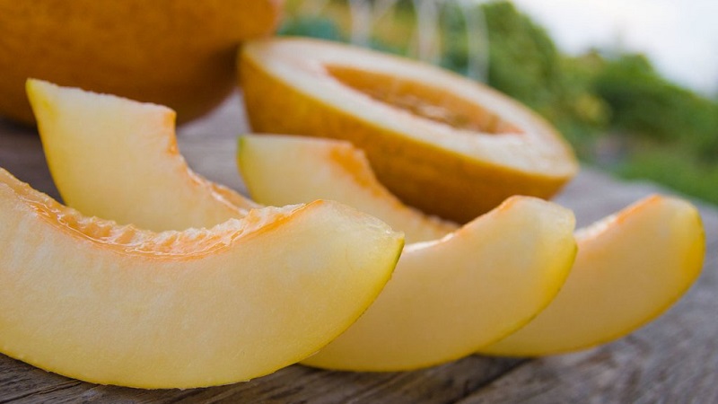 How much melon can you eat per day: consumption rates, beneficial properties and calorie content