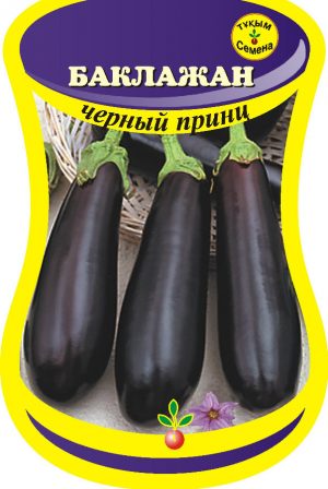 Review of the Black Prince eggplant variety and instructions for growing it