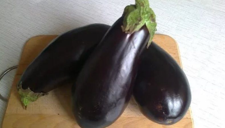 Review of the Black Prince eggplant variety and instructions for growing it