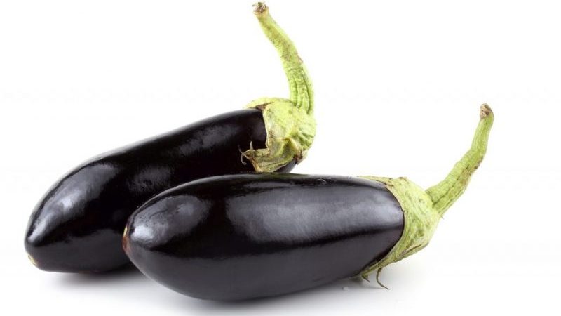 Review of the Black Prince eggplant variety and instructions for growing it