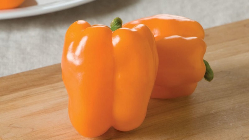 Pepper variety Big Mom with juicy sweet orange-colored fruits: we grow easily on our site