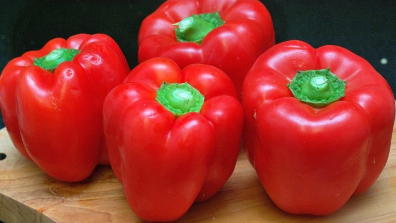 Why gardeners love the Bogatyr pepper variety so much and how to grow it correctly