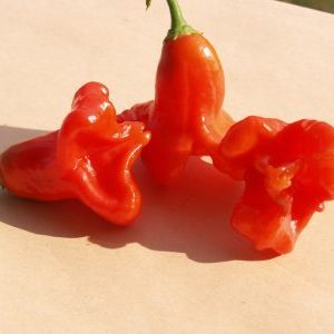 Combining opposite tastes and a flower-like amazing variety of bell peppers