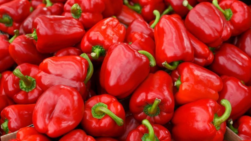 Juicy and fragrant Siberian Prince pepper: overview, instructions for growing, pros and cons