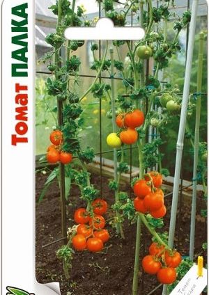 Characteristic features of the Palka variety that will appeal to every summer resident