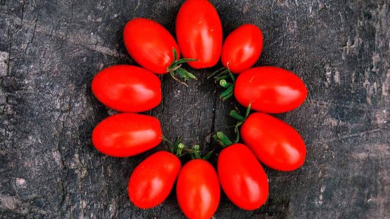 Grozdeva's tomato - excellent yield and memorable taste