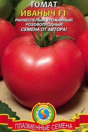 Follow the instructions and hybrid tomato Ivanovich f1 will surprise you with abundant fruiting in the garden or in the greenhouse