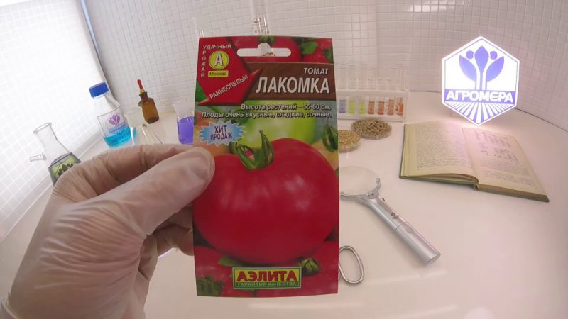 Does the tomato Lakomka justify its name and what do vegetable growers say about the variety?