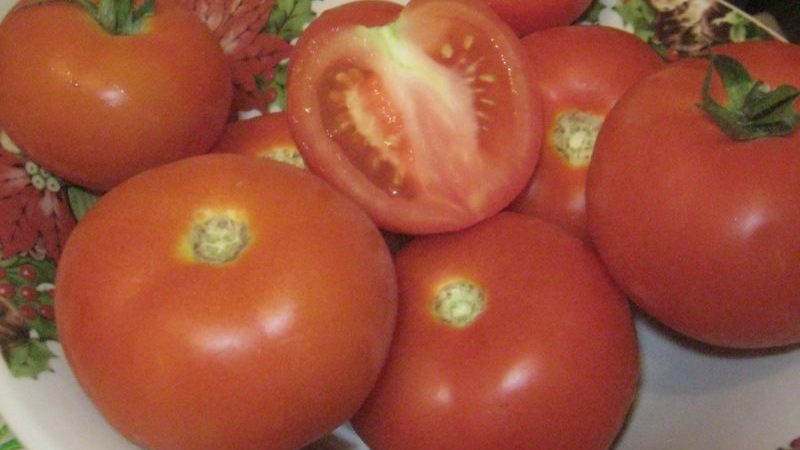 Does the tomato Lakomka justify its name and what do vegetable growers say about the variety?