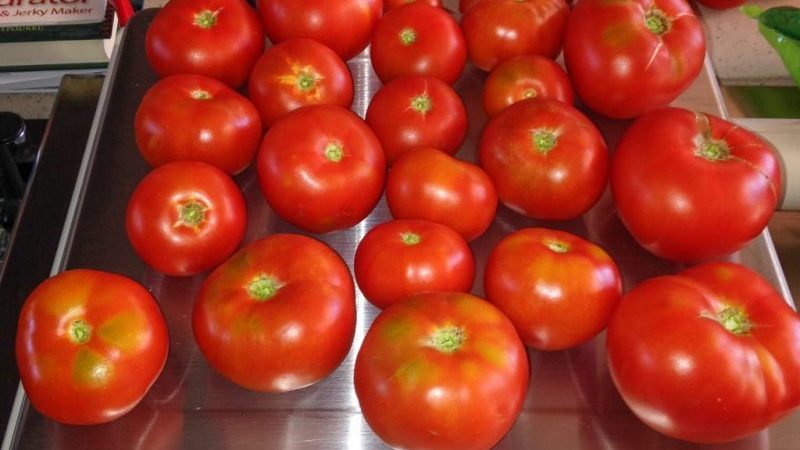 Review of the Moskvichka tomato variety: pros and cons, as well as how to get a good harvest