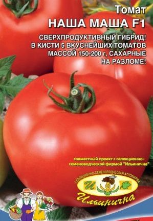 A beginner's guide to growing a hybrid tomato Our Masha f1