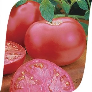 Pink lady f1 sweet hybrid pink tomato: why it is good and why it is worth trying to grow it