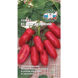A good choice for a fastidious summer resident - Peter the Great tomato and the secrets of increasing its yield