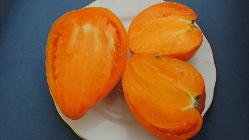 Delicious and time-tested tomato Heart of Ashgabat: an overview of the variety and the basics of its cultivation