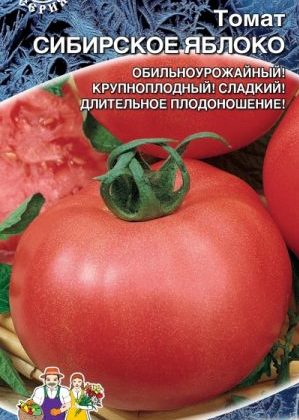A young variety that has managed to fall in love with gardeners - the Siberian apple tomato