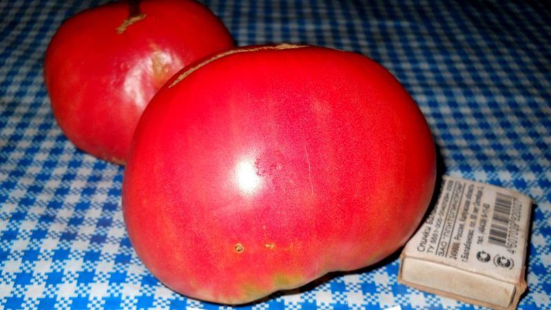 Large-fruited variety with delicate taste for dietary nutrition - tomato Tsar bell
