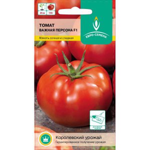A guest of honor at your suburban area is a tomato Important person and its advantages over other varieties
