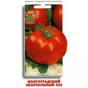How to grow a Volgograd early ripening tomato 323 and how it will delight a vegetable grower