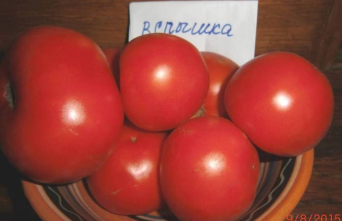 Tomato Care Tips Flash: What Can Affect Yields