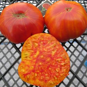 Advantages and disadvantages of Mammoth tomato