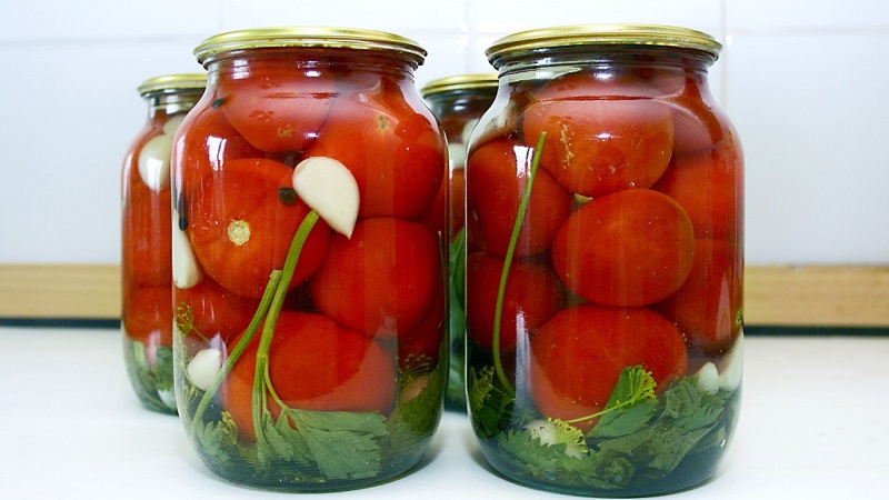 Top 10 unusual tomato recipes for the winter: how to cook delicious tomatoes and roll them up correctly