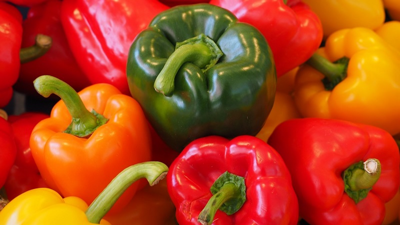 Top best early sweet peppers for open field and greenhouses