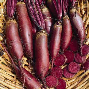 Cylindra beet variety loved by farmers for its ease of care and taste