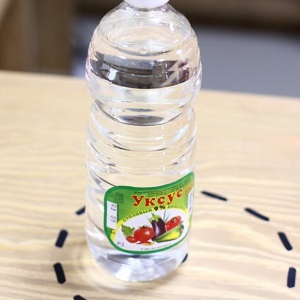 Vinegar is the best folk remedy for fighting aphids on cucumbers