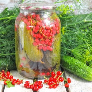 Tasty and simple pickling cucumbers with vinegar for the winter in jars