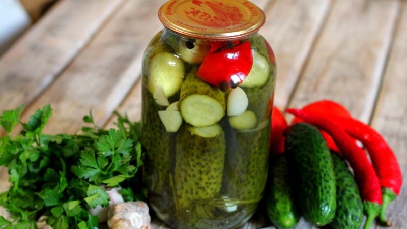Recipes for making the most delicious cucumbers without vinegar for the winter
