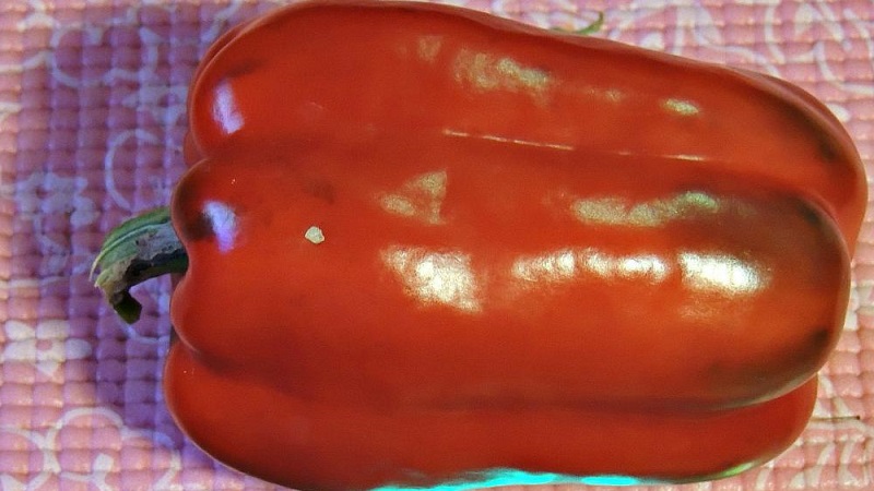 We grow on the site one of the most popular types of sweet peppers - Kubyshka