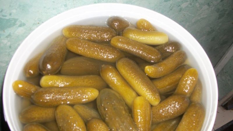 How to cold pickle cucumbers in a bucket for the winter: the best recipes from experienced housewives