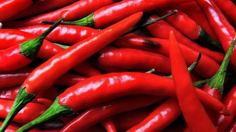 How to dry hot peppers at home: the best harvesting methods and recommendations for storing the product