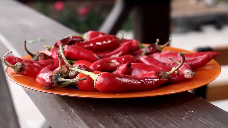 How to dry hot peppers at home: the best harvesting methods and recommendations for storing the product