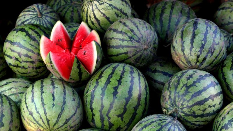 The question that worries many: why is a watermelon a berry?