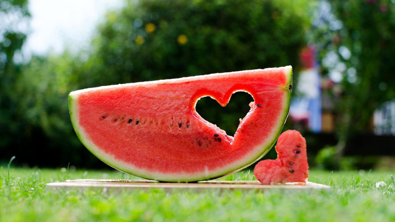 The question that worries many: why is a watermelon a berry?