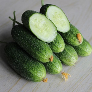 Meet Alex f1 cucumber hybrid and learn how to grow it correctly