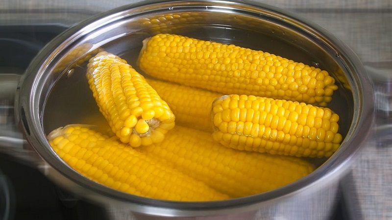 How to understand that corn is ripe: we harvest on time, depending on its further use