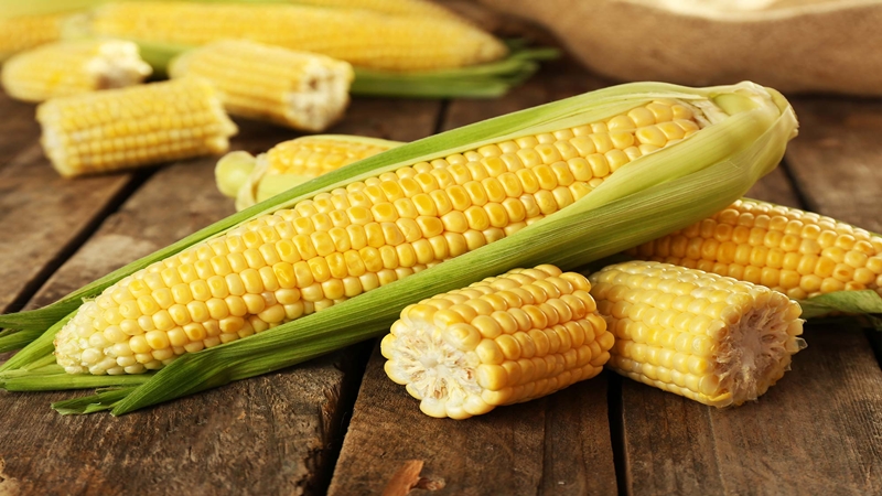 How to cook pickled corn on the cob for the winter: the best recipes