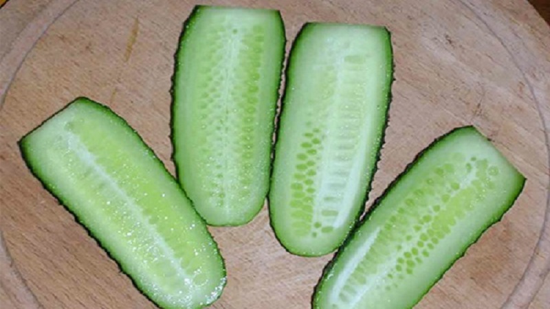 An early ripe hybrid of Bettina cucumbers for greenhouses, open ground and growing on a windowsill