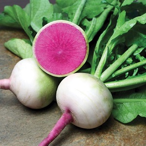 Unusual-looking and pleasant-tasting watermelon radish: what is good and how to grow